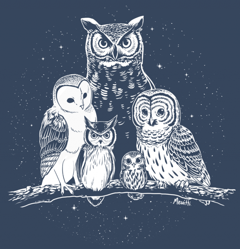 Owl intim com.